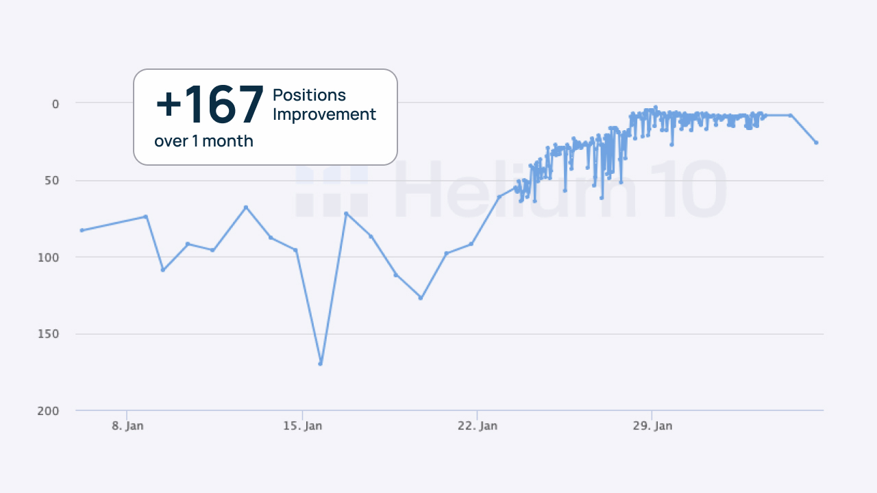 Optimized Product Debut: Expert launch strategy driving search ranking improvements and increased conversions.